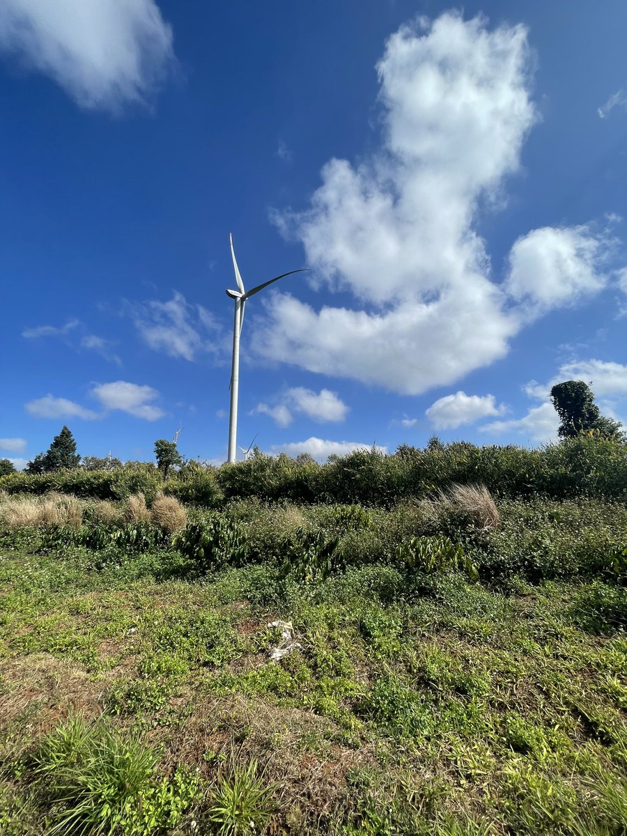 Trungkts tweet media