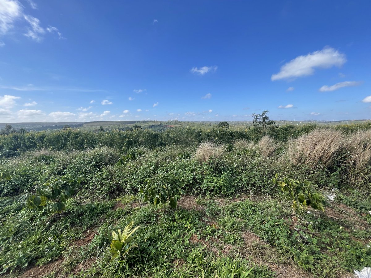 Trungkts tweet media