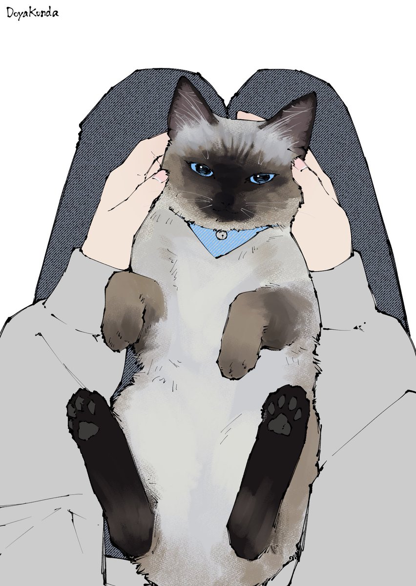 戸屋こんだ tweet media