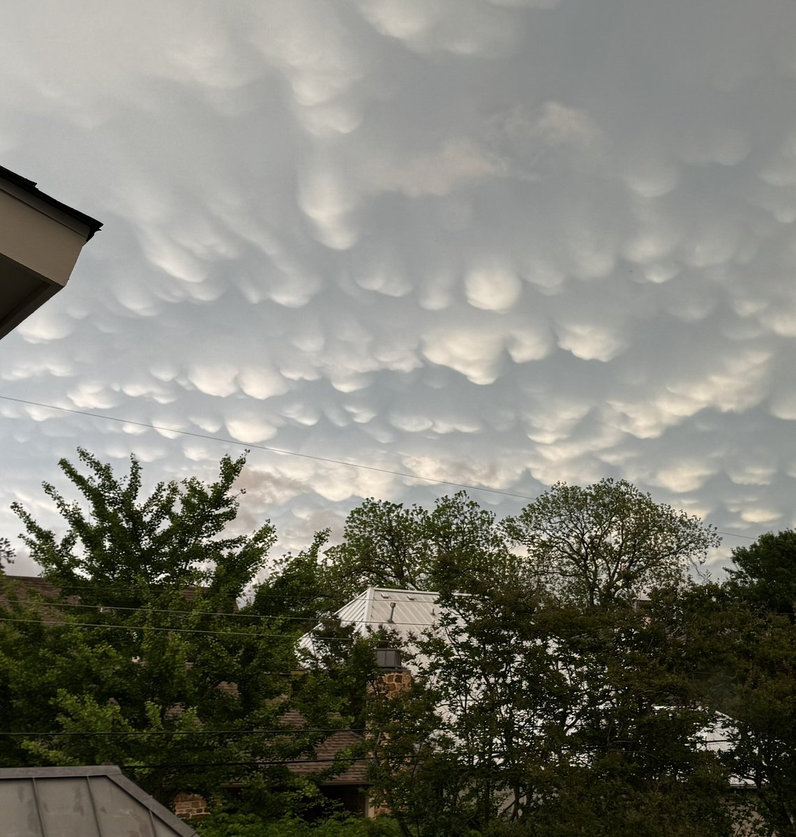 Barrett Linburg tweet media