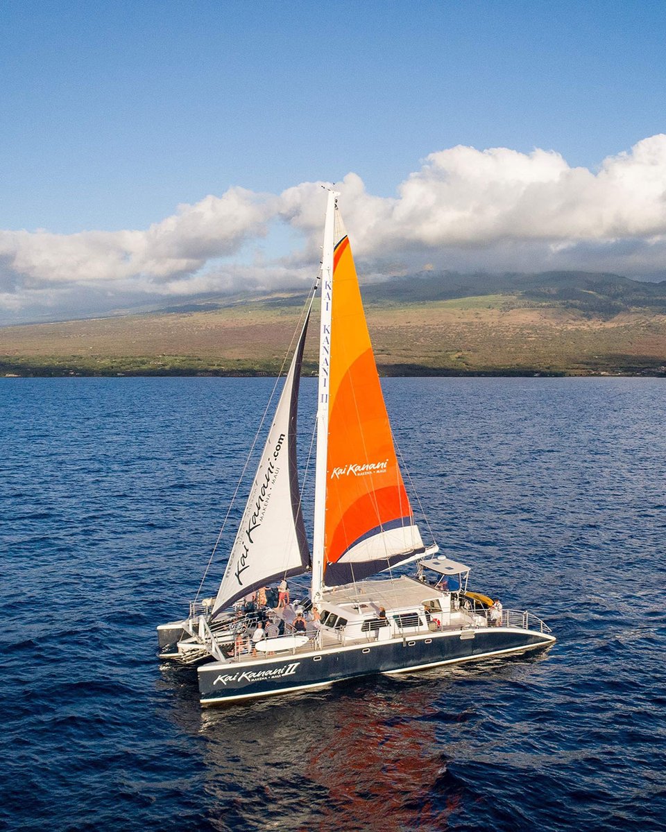 Makena, Maui tweet media