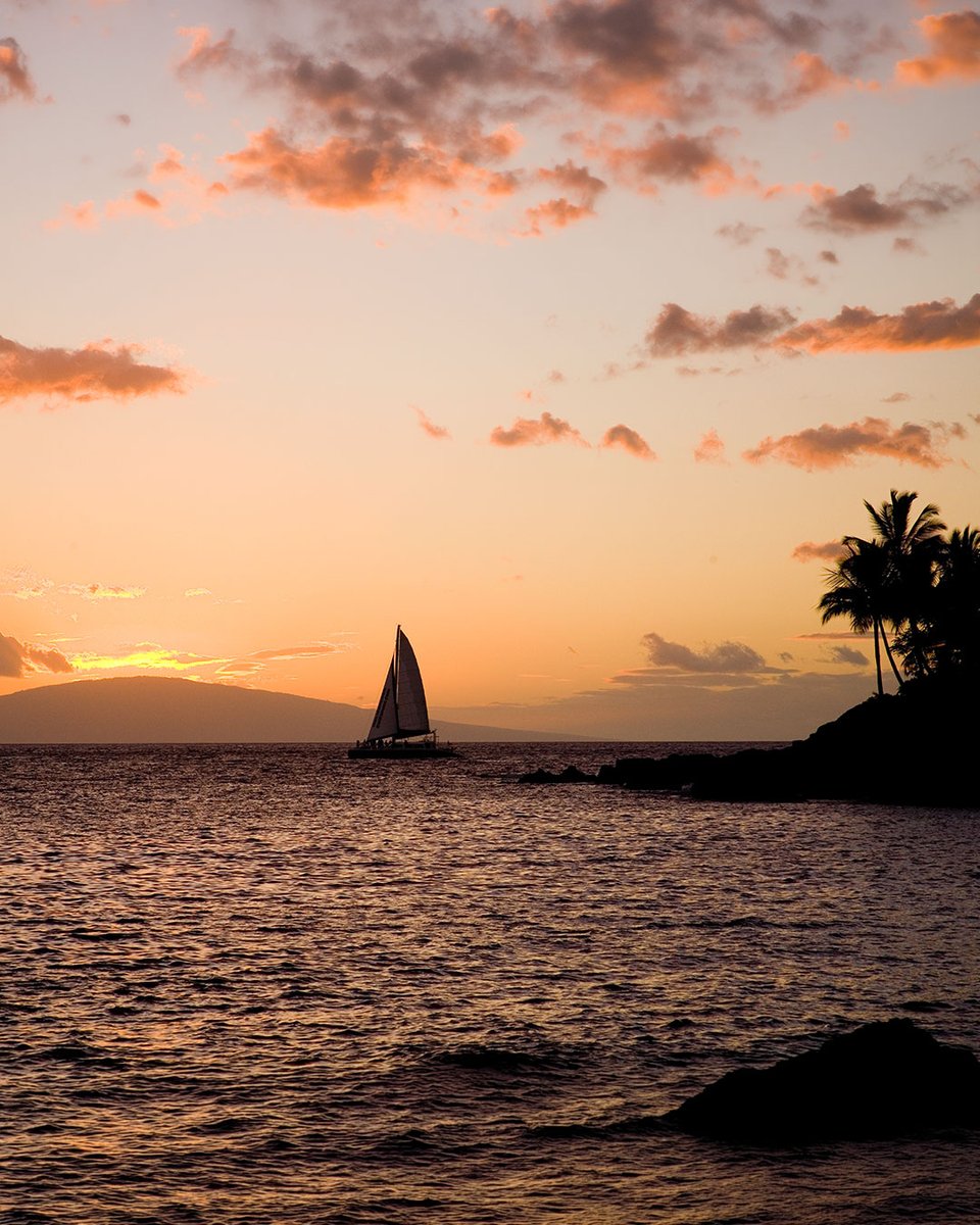 Makena, Maui tweet media