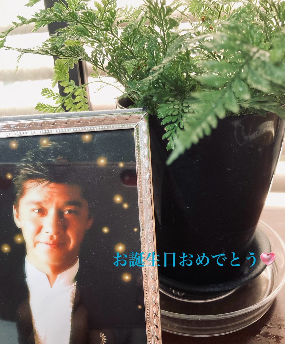 なんこ🐜 tweet media