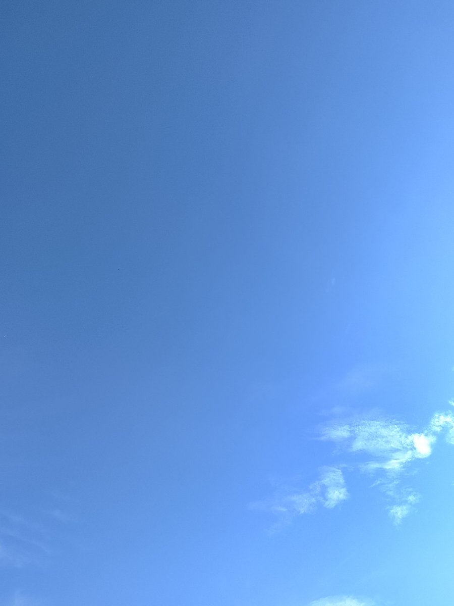 Lucifer Athanasius Roosevelt tweet media