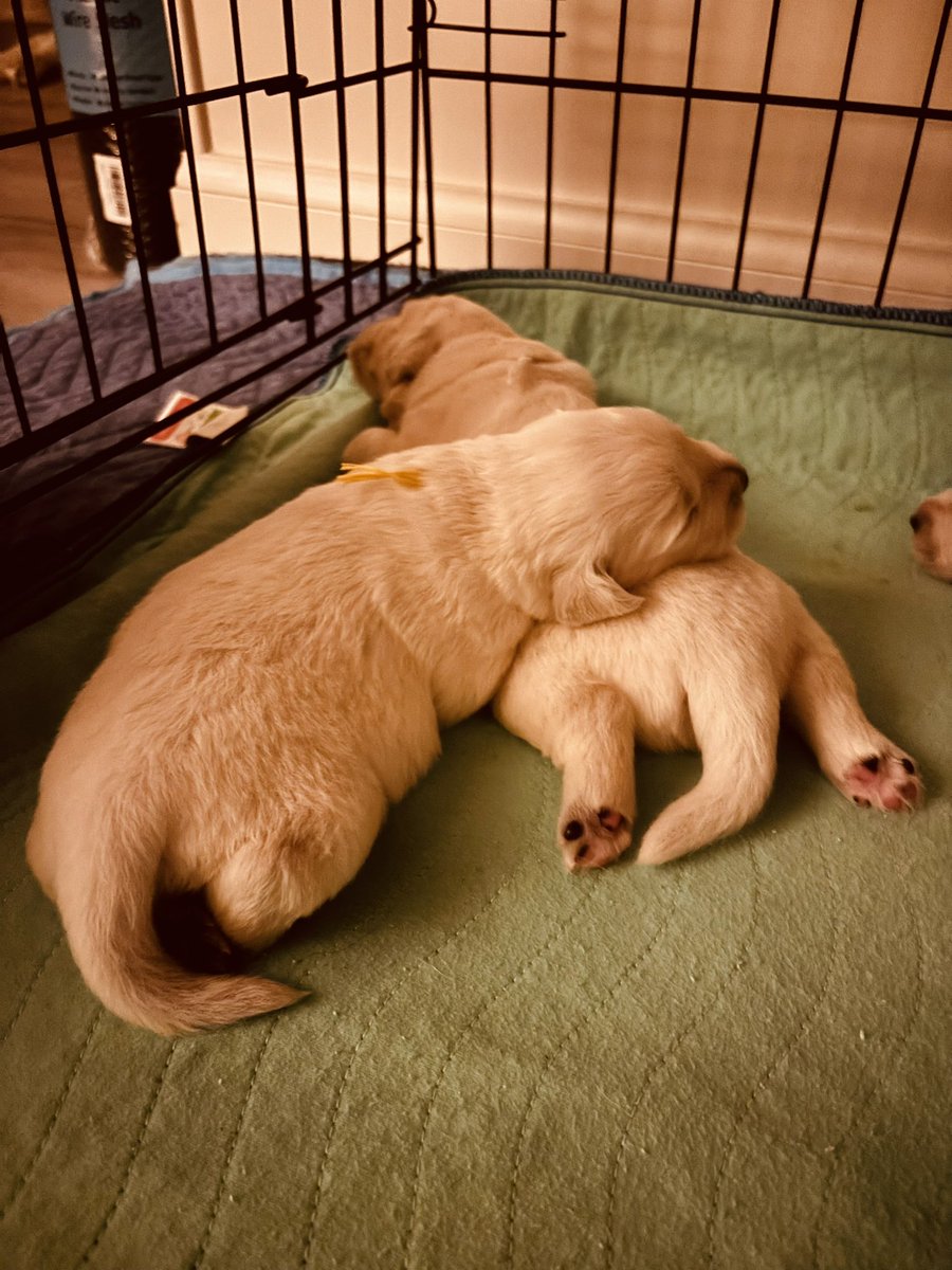 Eva McMillan ♥️ tweet media