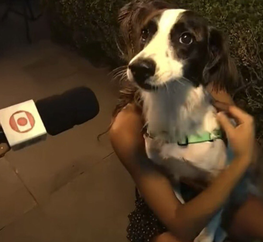 Mercado Pago Brasil tweet media