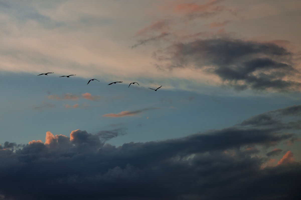 DeepGreens2's tweet image. World Through My Lens...🌺
#BeachLife #Photography #Canon