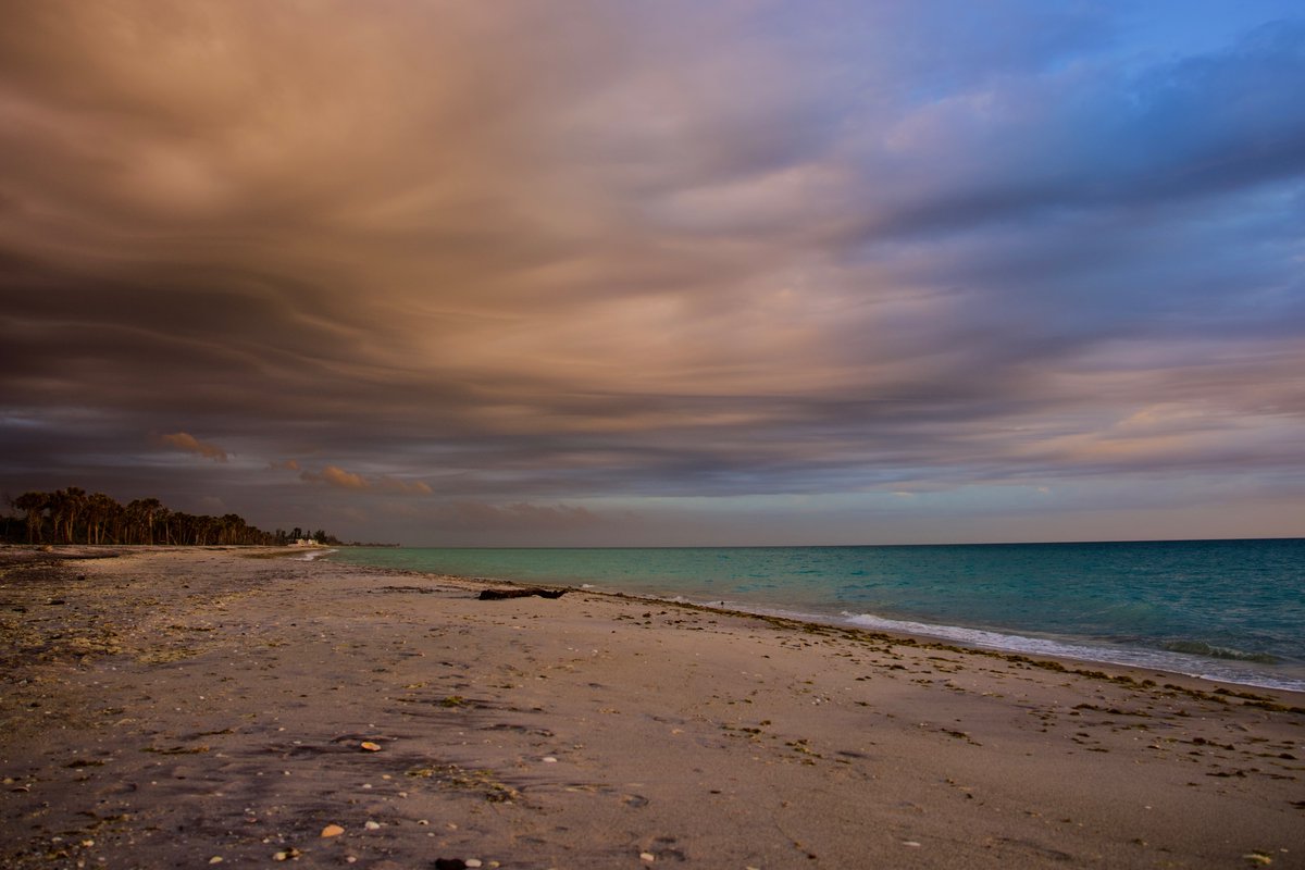 DeepGreens2's tweet image. World Through My Lens...🌺
#BeachLife #Photography #Canon