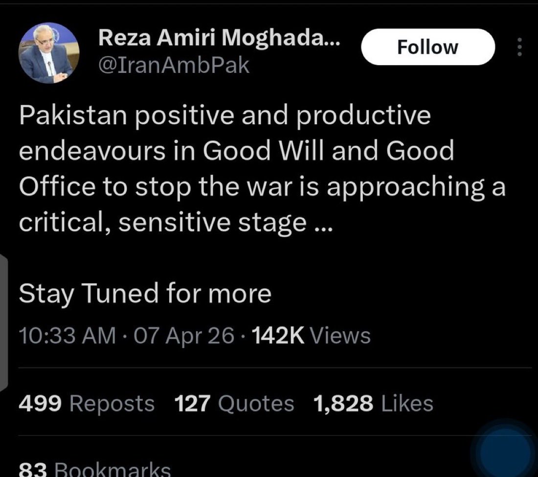 Laura Loomer tweet media