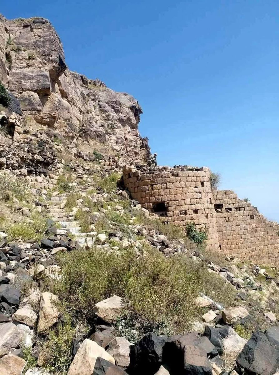 تيمـن 🇾🇪𓃵 tweet media