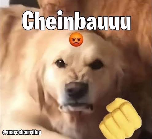 Tu Chacal Tatuado ☻ tweet media