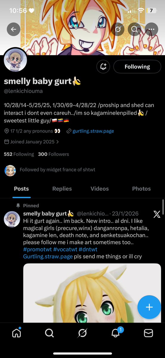 midget france of shtwt tweet media