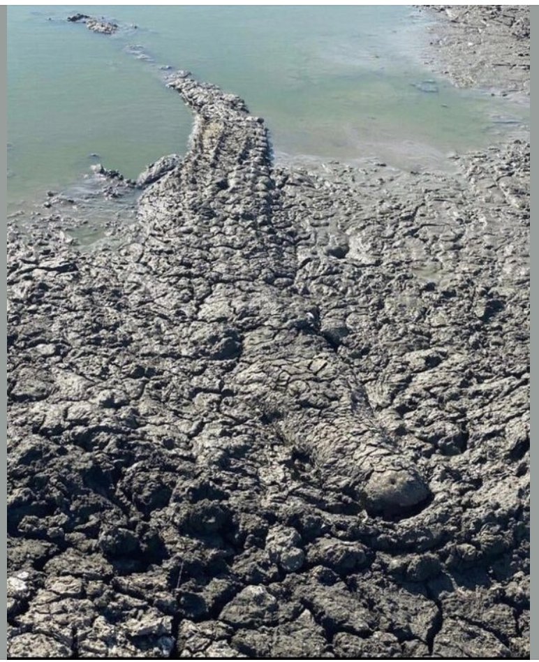 Jamie G, MD tweet media