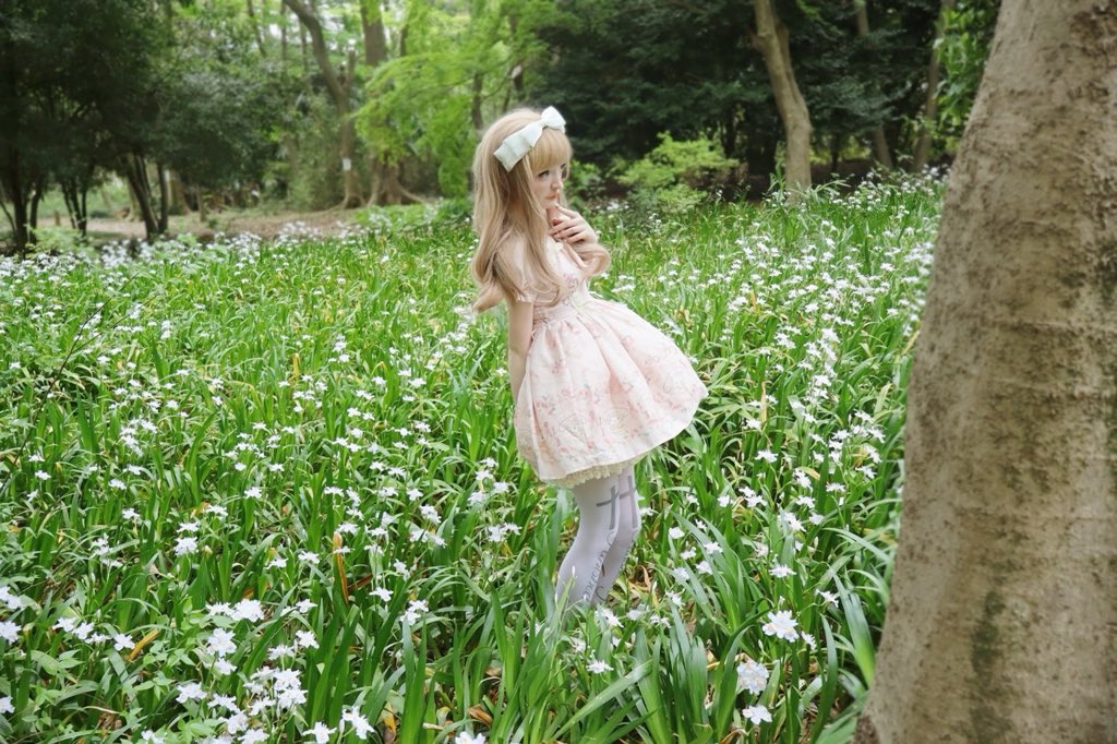 イーヴちゃん ౨ৎ₊⊹₊ tweet media