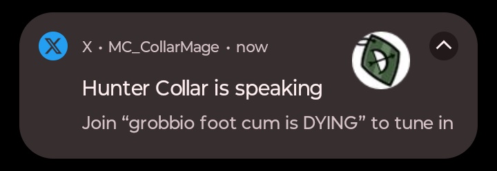 Mage Collar tweet media