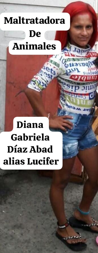 DefensoresAn's tweet photo. #Guayaquil maltratadoras del can d la 26 y O'Connor, vecinos aseguran q son reincidentes, han asesinado a varios perros años atrás y nadie los había denunciado. Beatriz Colombia Díaz Abad organiza bingos y expende licor todos los fines de semana @EmergenciasEc @segura_ep @LFC014 https://t.co/VVZgeNMDWV