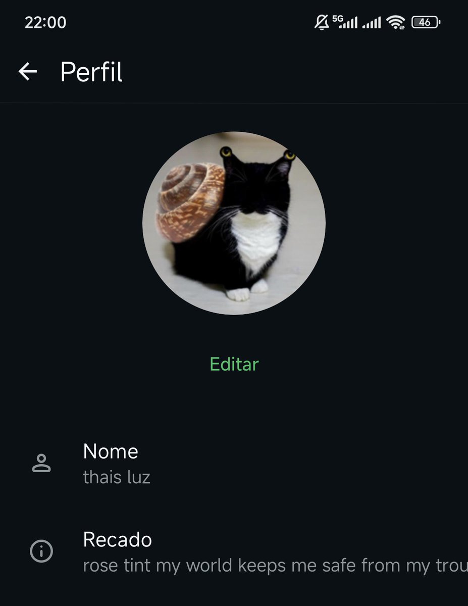 pokemon legends thais tweet media