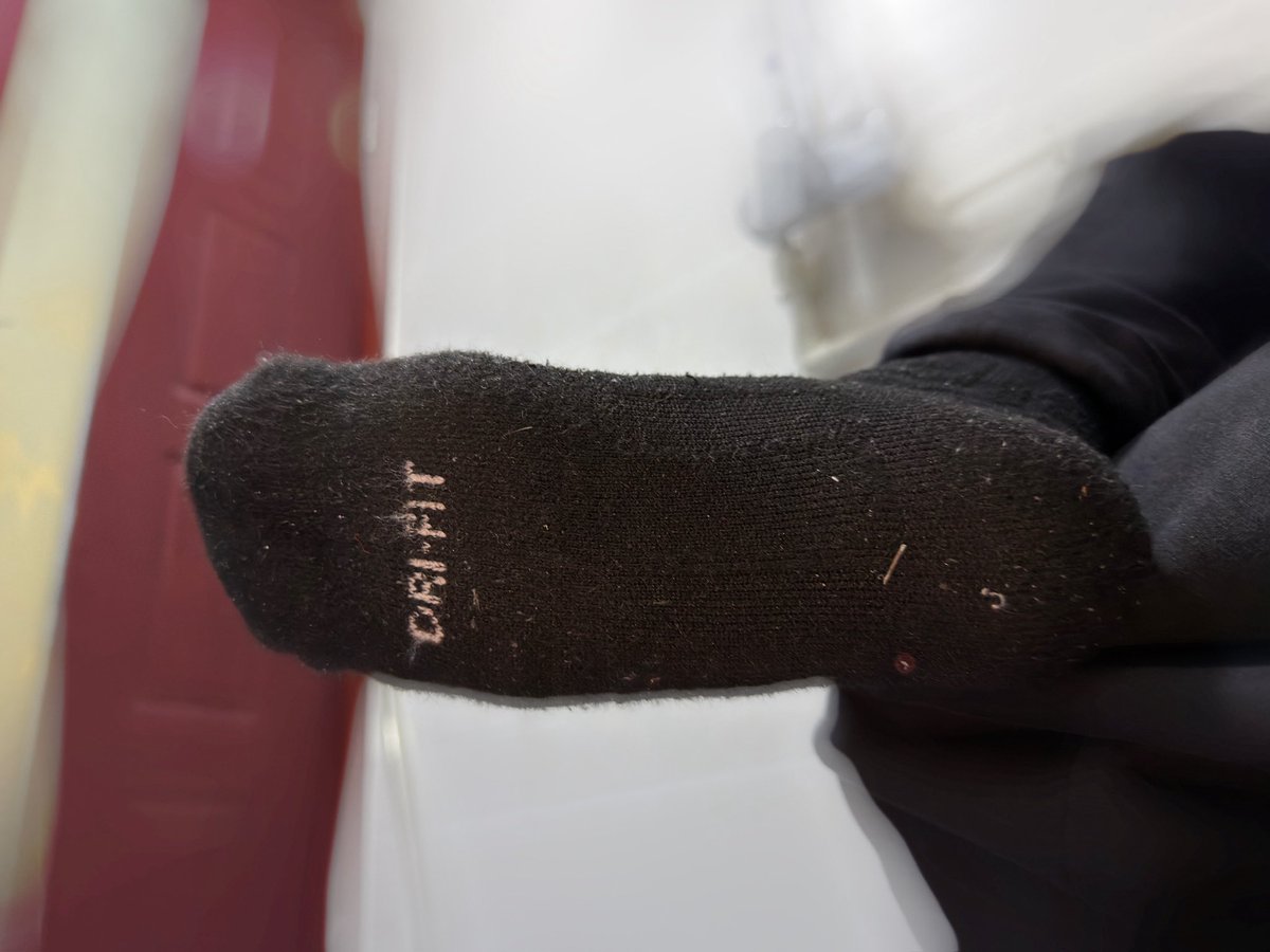 饺子骑着布莱恩 tweet media