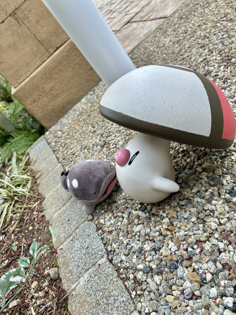 古岡祐樹(ふるおかゆうき) tweet media