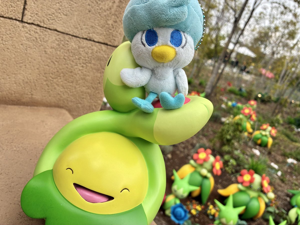 古岡祐樹(ふるおかゆうき) tweet media