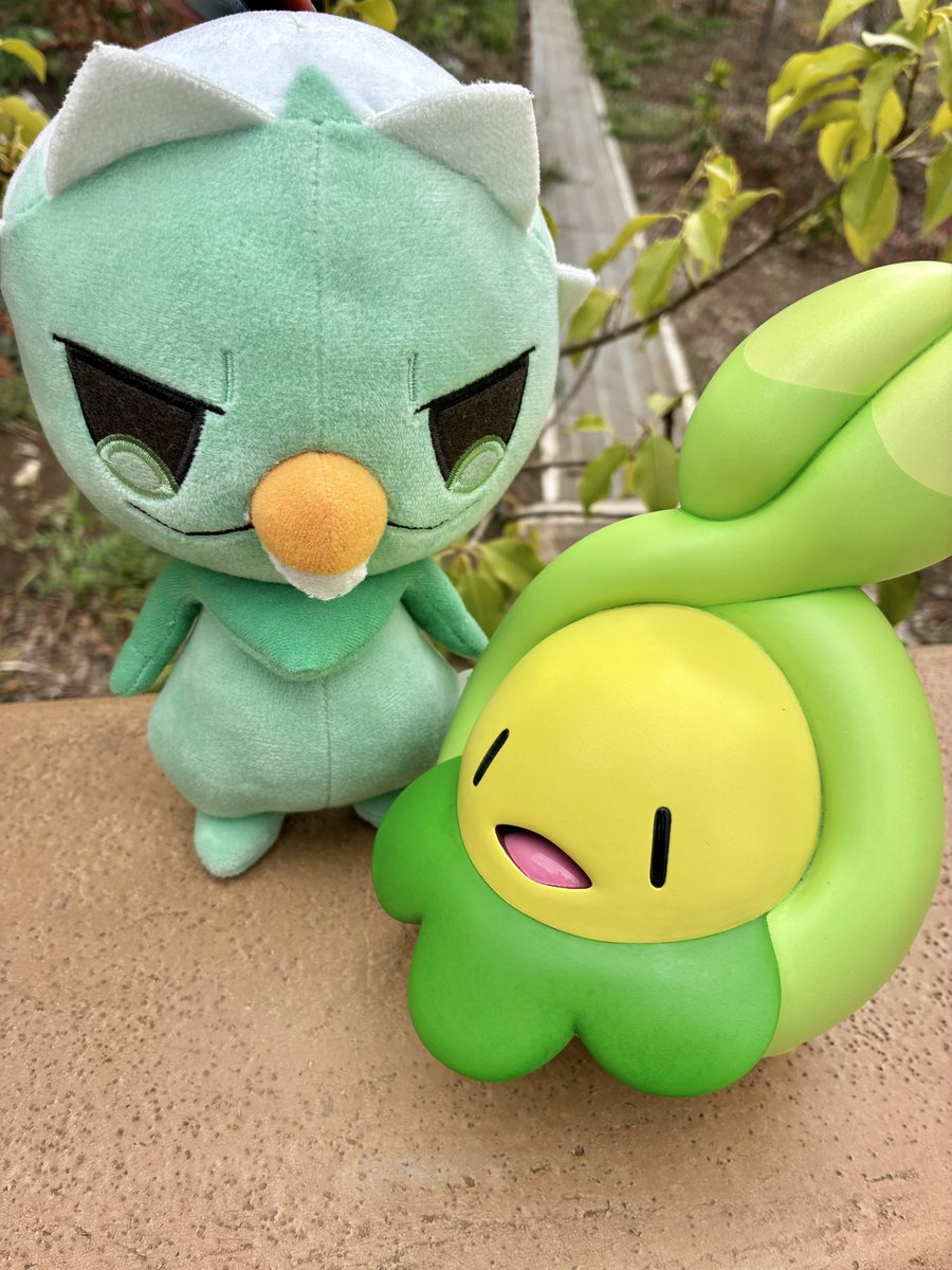 古岡祐樹(ふるおかゆうき) tweet media