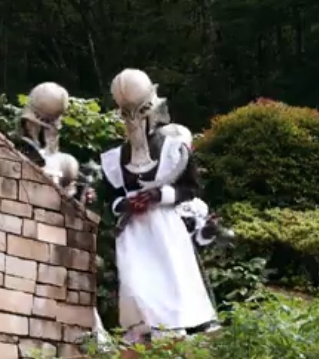 🇵🇷 sound-punk🇵🇷 tweet media