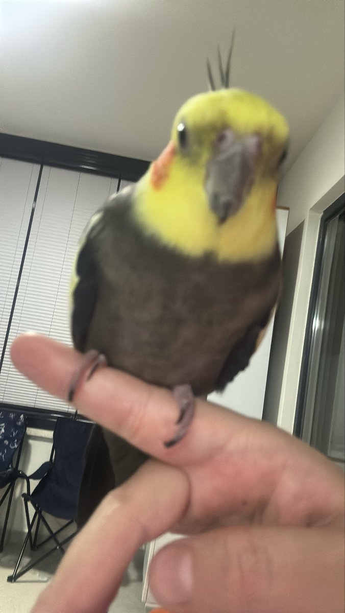 SHARKY | 💨 tweet media