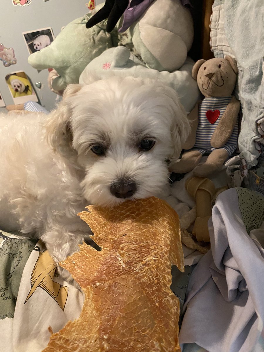 วัวทุกภาคส่วน tweet media