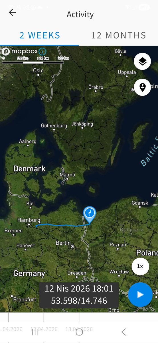 Bitter Çaklıt tweet media