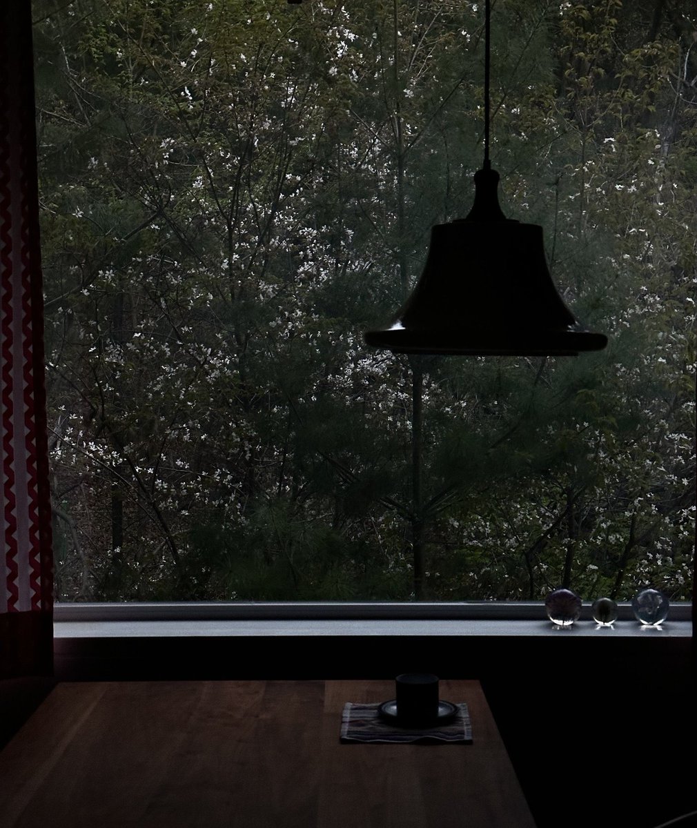 cherryland tweet media