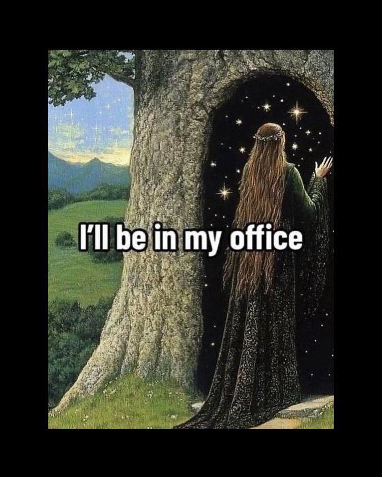 Lace & War 🪡 tweet media