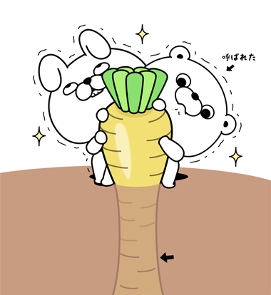 伝説の金の人参2

伝承によると抜くことができれば幸運が訪れるとのことだが...