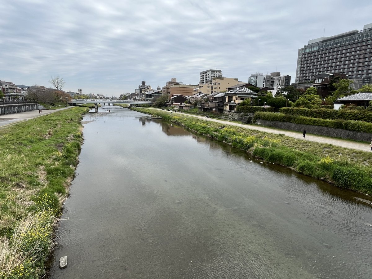 今日も花粉がしんどい中通院 