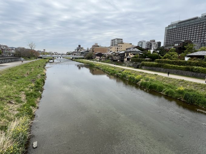 今日も花粉がしんどい中通院 