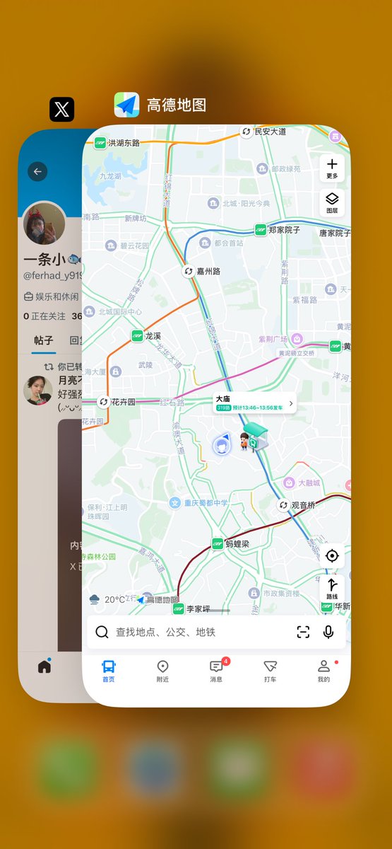 一条小🐟 tweet media