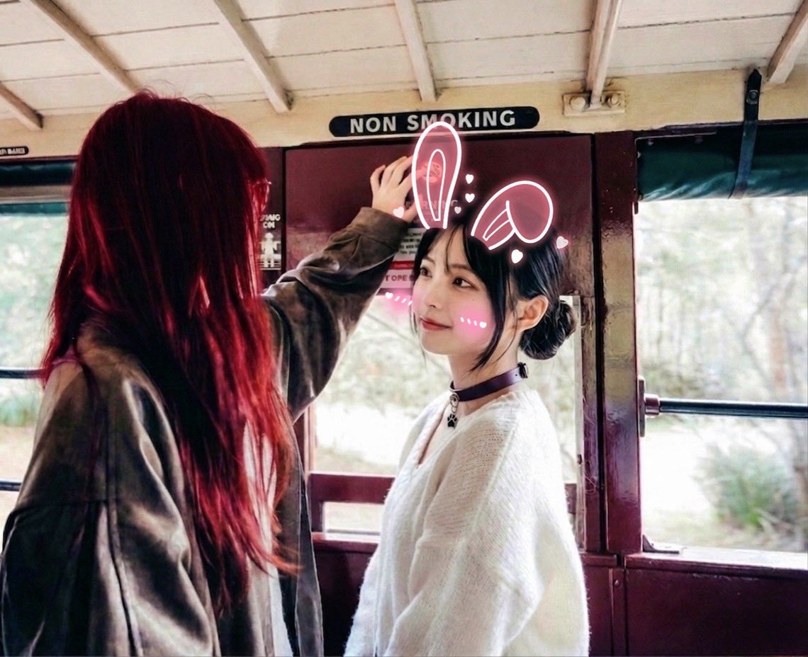 狸奴贪睡不知愁 tweet media