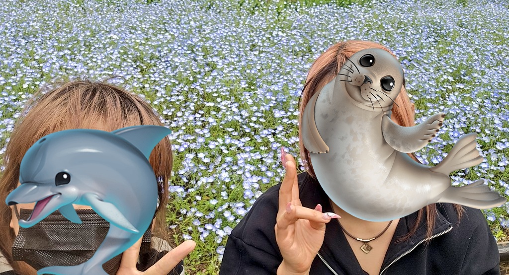 鈴木さんとネモフィラ見にきた✨
#日比谷公園 #ネモフィラ