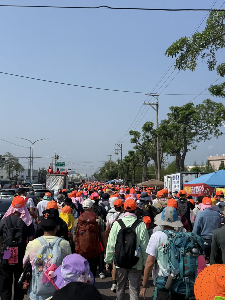 南山上有棵禹橙 tweet media