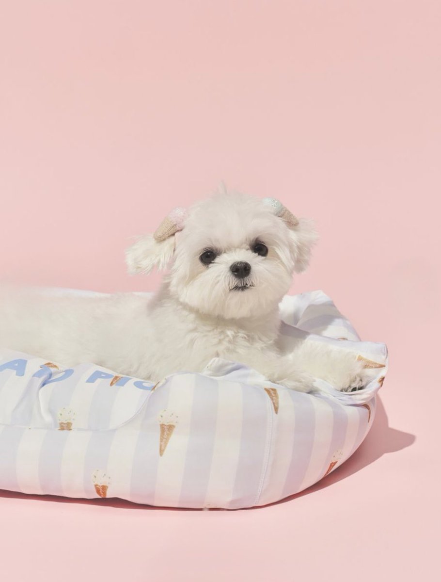 ぼく、ライス tweet media