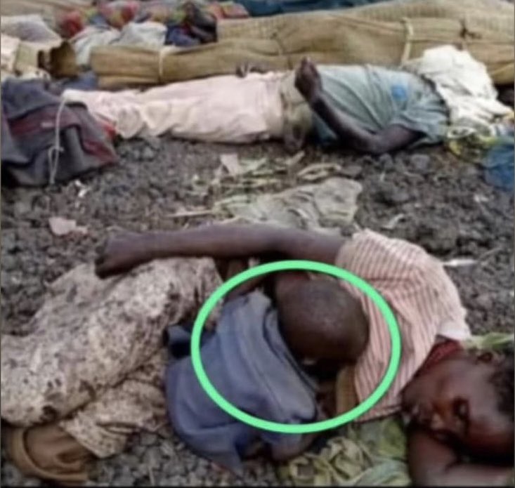 Nacelle Olga tweet media