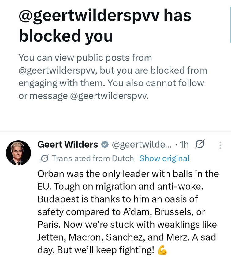 Carlos Zacharioudakis tweet media