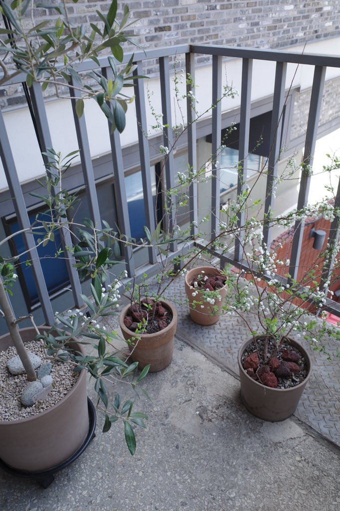 👼🏻♡🧸･◡･⁷ tweet media