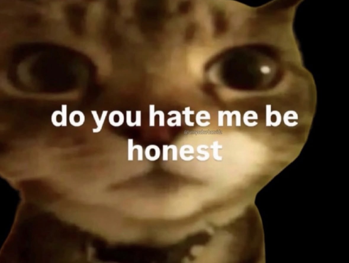 raccoon aesthetic. tweet media