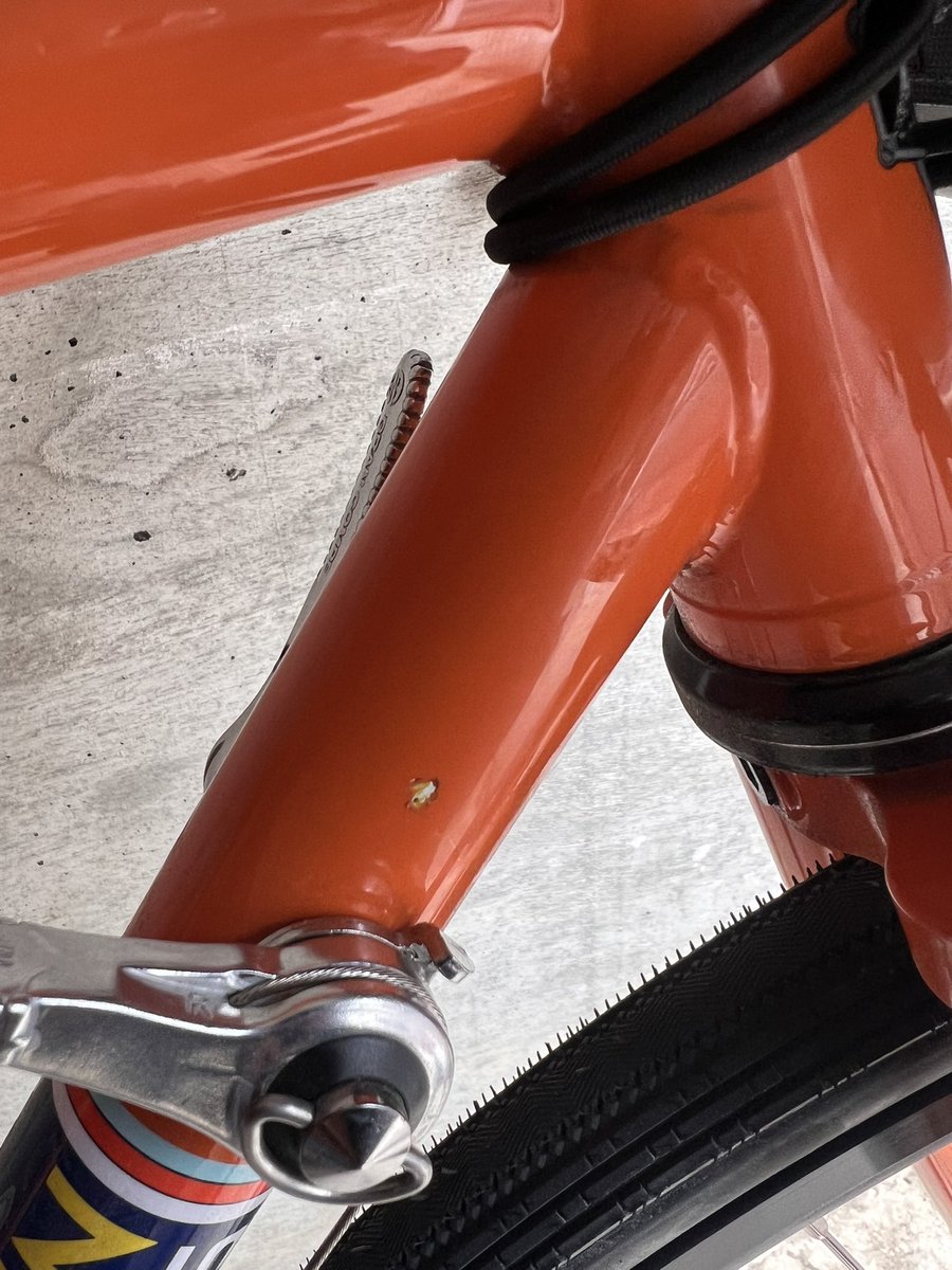 シジミ⇔443 tweet media