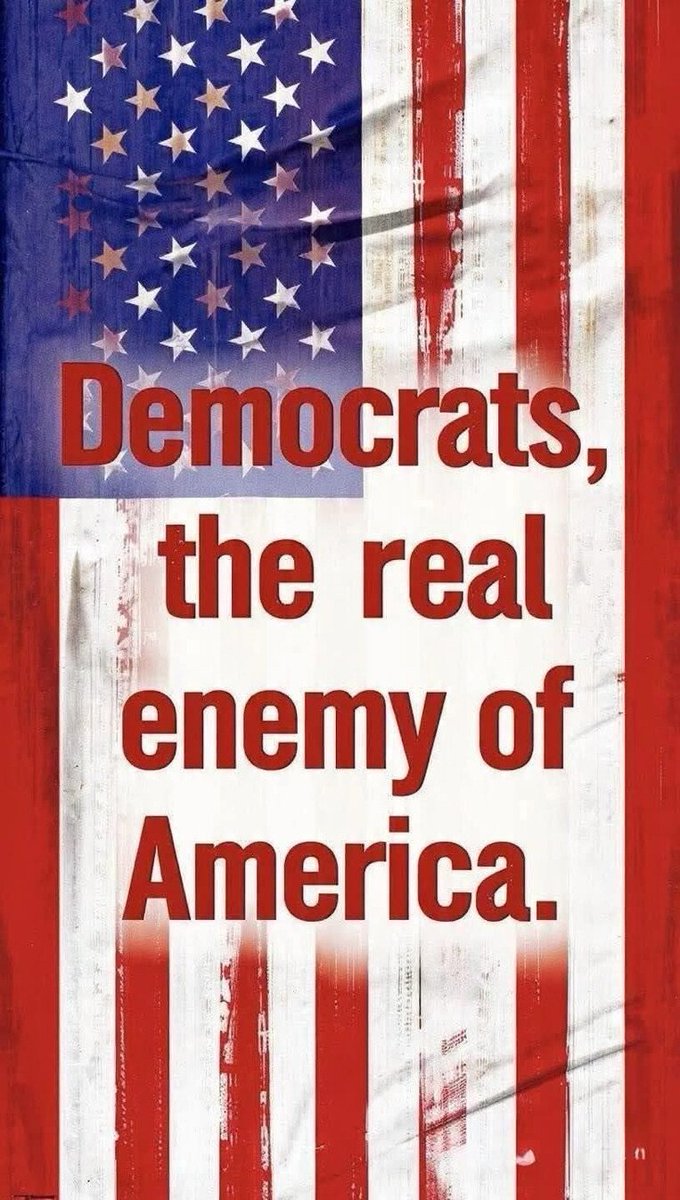 ♥️ MAGAGIRLAF4LIFE ♥️ Democrats🖕🏼 tweet media