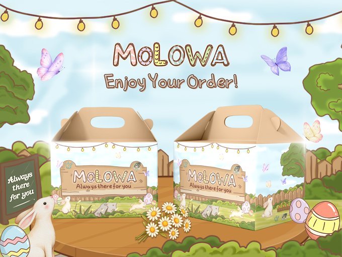 💻 MOLOWA 🖨 tweet media