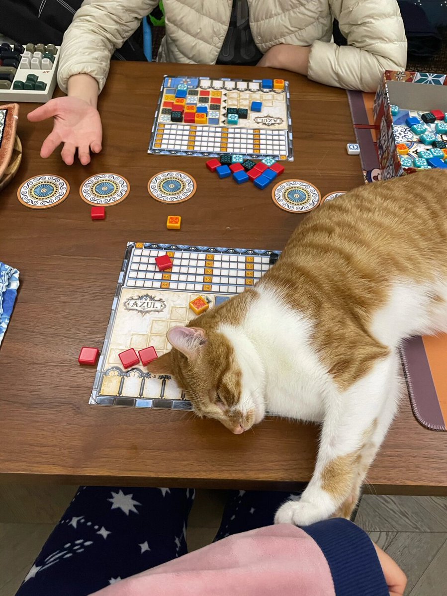 Shimi Bar Photography tweet media