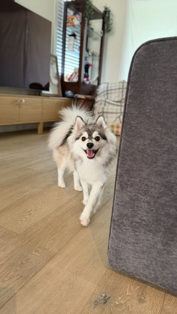 Leesi ☽ꨄ︎☾ tweet media