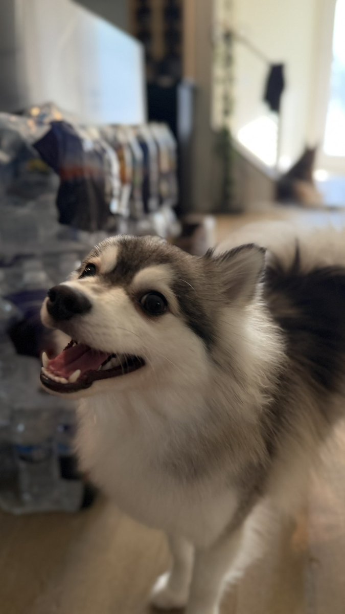 Leesi ☽ꨄ︎☾ tweet media