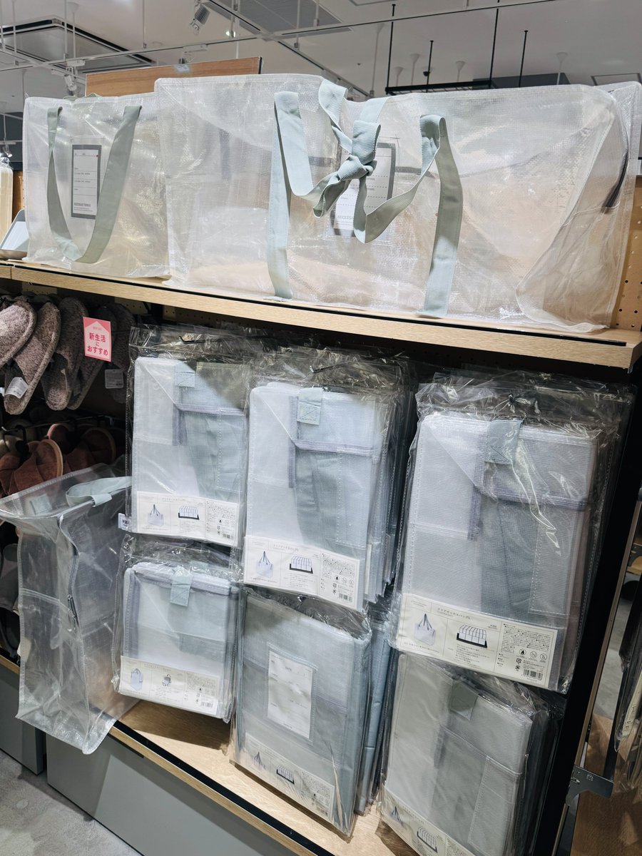 ごまたろ🇹🇭🐘 tweet media